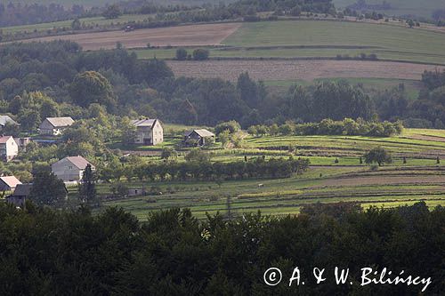 Olchowa, Bieszczady