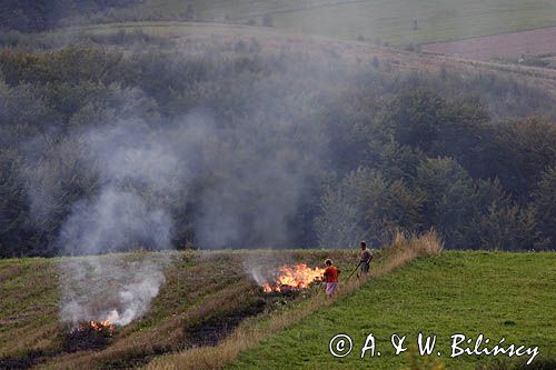 jesienne porządki, wypalanie chwastów, okolice Tarnawy Górnej, Bieszczady