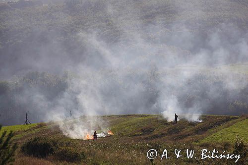 jesienne porządki, wypalanie chwastów, okolice Tarnawy Górnej, Bieszczady