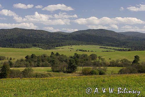 panorama, okolice Nowego Łupkowa, Bieszczady