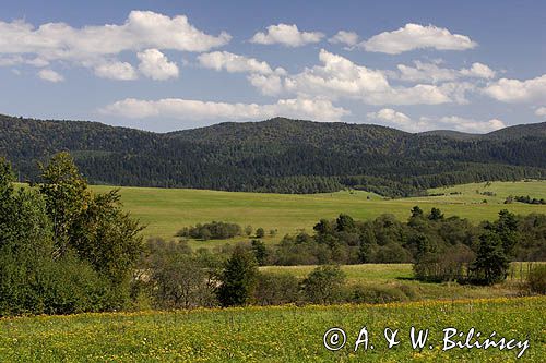 panorama, okolice Nowego Łupkowa, Bieszczady