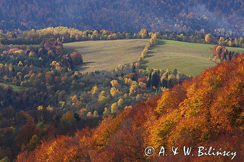 łąki i lasy, Polana Ostre i Rosochate, widok z punktu widokowego na Ostrem, Bieszczady