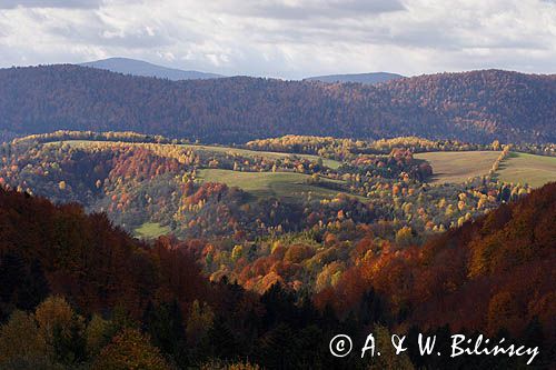 łąki i lasy, Polana Ostre i Rosochate, widok z punktu widokowego na Ostrem, Bieszczady