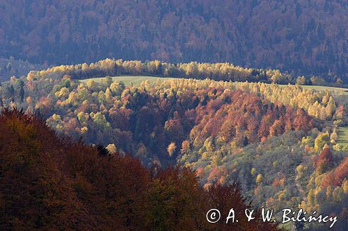 jesień na Ostrem, Bieszczady