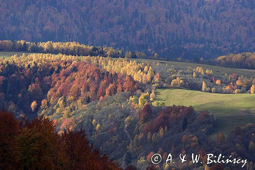 jesień na Ostrem, Bieszczady