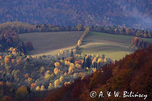 jesień na Ostrem, Bieszczady