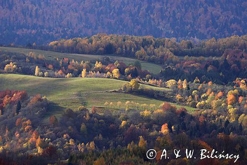 jesień na Ostrem, Bieszczady