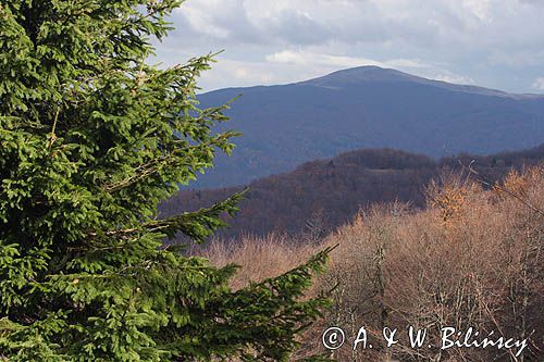 panorama z Jasła, Bieszczady