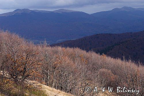 panorama z Jasła, Bieszczady