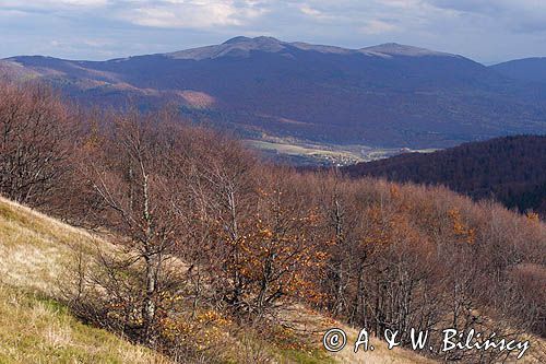 panorama z Jasła, Bieszczady