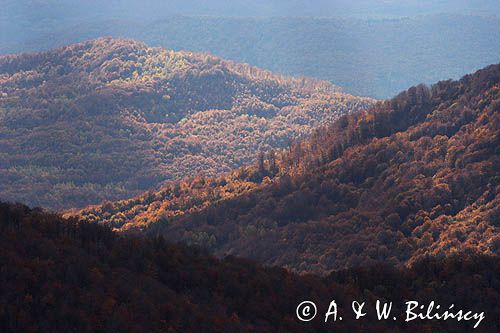 panoramy z Jasła, Bieszczady