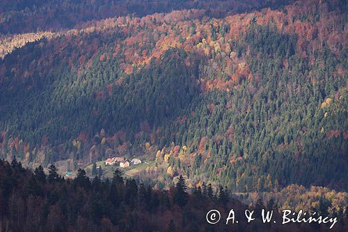 panoramy z Jasła, Bieszczady