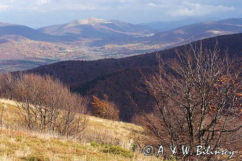 panoramy z Jasła, Bieszczady