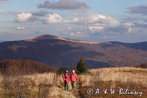 panoramy z Jasła, Bieszczady