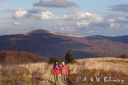 panoramy z Jasła, Bieszczady