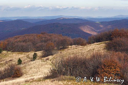 panoramy z Jasła, Bieszczady