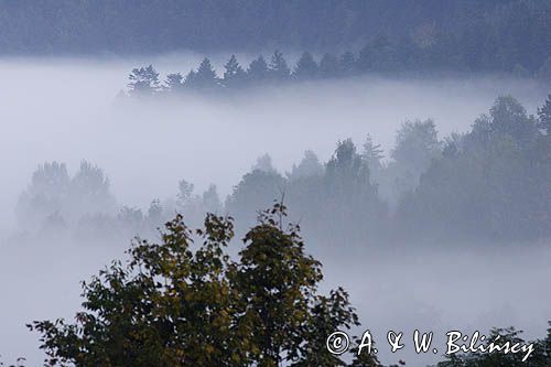 mgły nad Jawornikami, Bieszczady