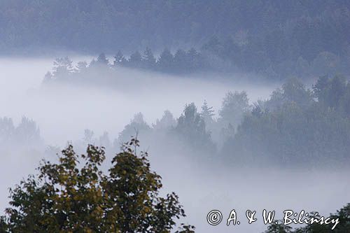 mgły nad Jawornikami, Bieszczady