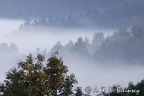 mgły nad Jawornikami, Bieszczady