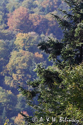 jesień, Bieszczady