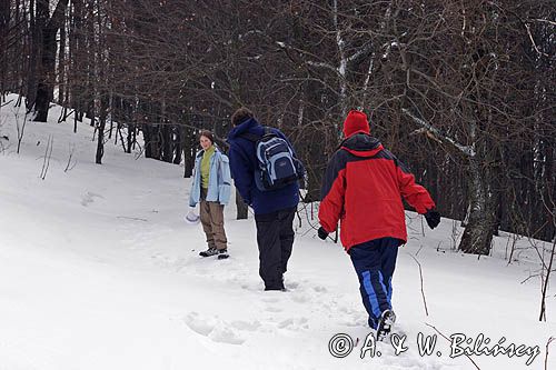 na szlaku na Tarnicę z Wołosatego, Bieszczady