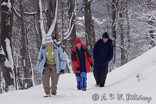 na szlaku na Tarnicę z Wołosatego, Bieszczady