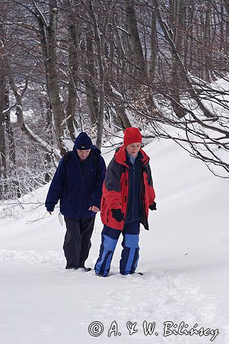 na szlaku na Tarnicę z Wołosatego, Bieszczady