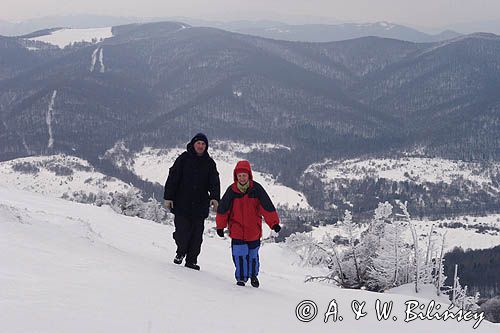 na szlaku na Tarnicę z Wołosatego, Bieszczady