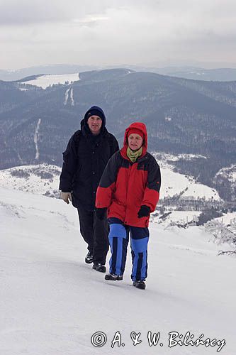 na szlaku na Tarnicę z Wołosatego, Bieszczady