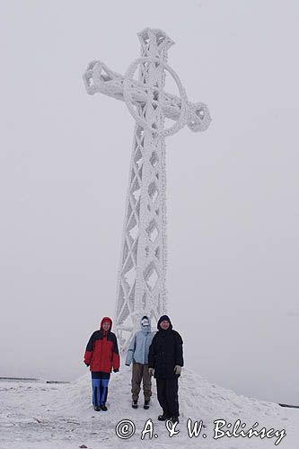 na Tarnicy, Bieszczady