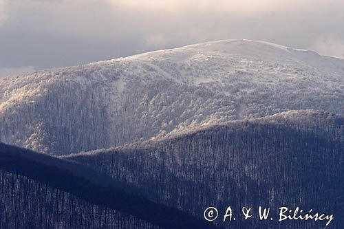 zimowe Bieszczady, widok z Tarnicy na Rawki, Bieszczady