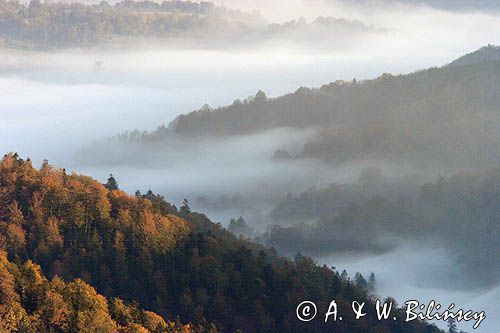 Bieszczady, panorama, mgły o świcie w Dolinie Sanu, widok z Połoniny Wetlińskiej