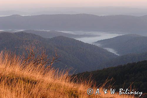 Bieszczady, panorama, mgły o świcie w Dolinie Sanu, widok z Połoniny Wetlińskiej