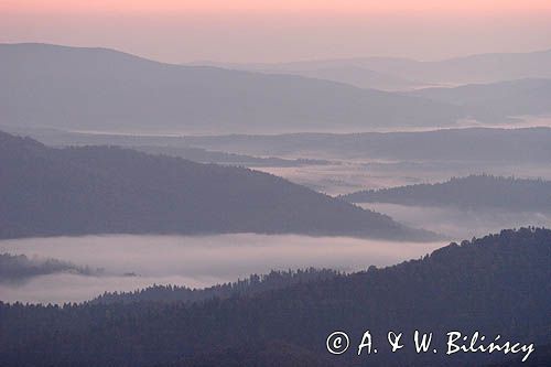 Bieszczady, panorama, mgły o świcie w Dolinie Sanu, widok z Połoniny Wetlińskiej