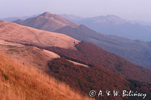 Bieszczady, panorama, Połoniny Wetlińska i Caryńska i Tarnica