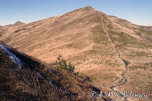 Bieszczady, widok spod Rozsypańca na Halicz