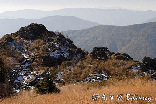 Bieszczady, na Rozsypańcu