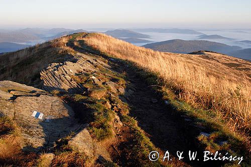 Na Bukowym Berdzie, Bieszczady