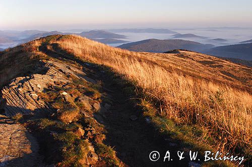 Na Bukowym Berdzie, Bieszczady