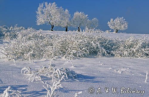 Zimowe Bieszczady, Bieszczady, Polska