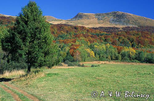 Bieszczadzkie krajobrazy, Tarnica, Polska