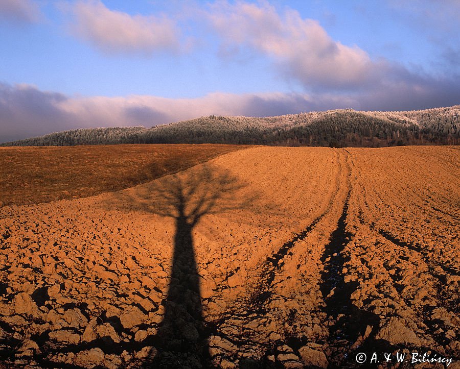 Pola pod Besidą, Bieszczady, Polska