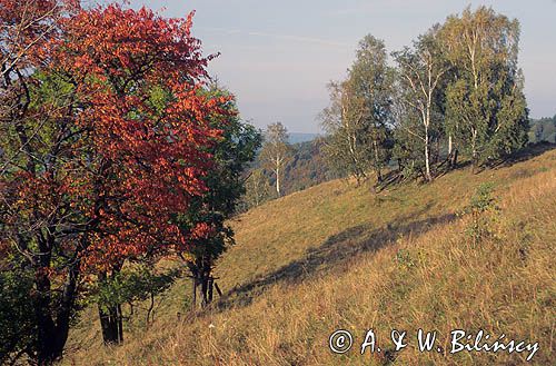 Bieszczady, Serednie