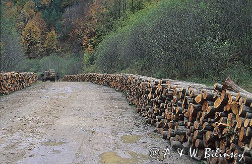 Bieszczady