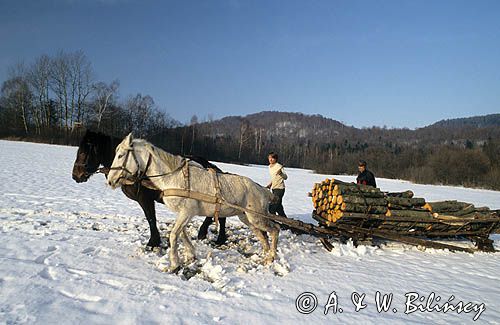 Zwózka drewna, Bieszczady