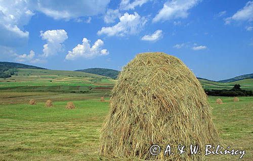 Bieszczadzkie krajobrazy, Bieszczady, Polska