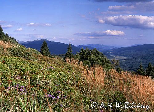 na Połoninie Caryńskiej, widok na Dolinę Wołosatego, Bieszczady