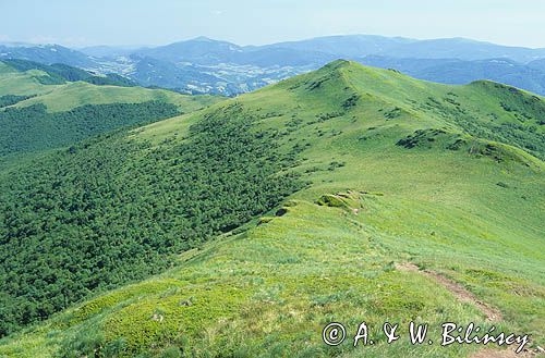 Rozypaniec, Bieszczady, Polska