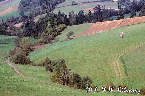 Bieszczady, Polska