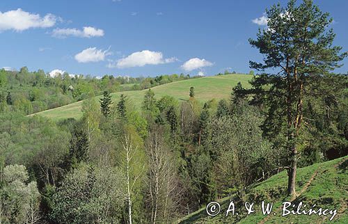 Bieszczadzkie krajobrazy, Bieszczady, Polska